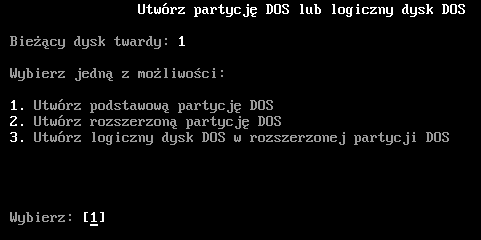 Partycjonowanie dysków - okno11